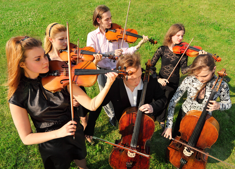 Group,Of,Violinists,Play,Standing,On,Grass